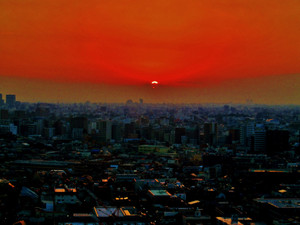 Photo Photo